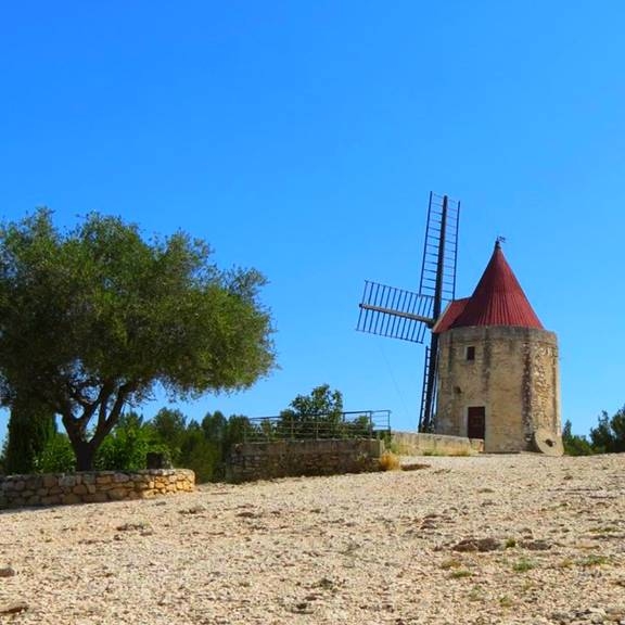 Le Patio - Restaurant Fontvieille - Cuisine méditerranéenne