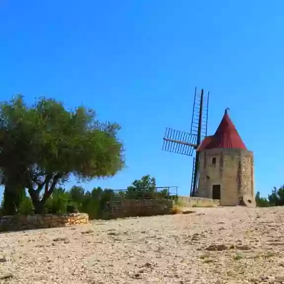 Le Patio - Restaurant Fontvieille - cuisine en provence